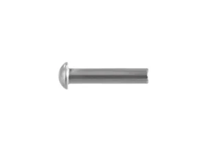 Zestaw nitów stalowych, kulistych, (6x30mm), DIN660, (100 szt.), Teger