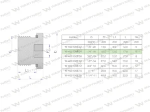 Korek hydrauliczny calowy (na imbus) 1/4" BSP ED Waryński ( sprzedawane po 10 )