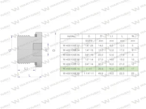 Korek hydrauliczny calowy (na imbus) 1" BSP ED Waryński ( sprzedawane po 2 )
