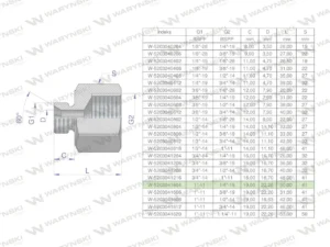 Tulejka różnicowa hydrauliczna calowa AB 1"GZ x 1/4"GW BSP Waryński