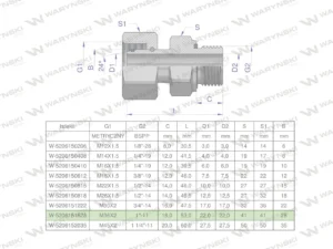 Przyłączka hydrauliczna AB (EVGE) M36x2 28L x 1" BSP ED Waryński