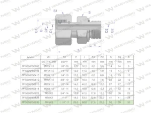 Przyłączka hydrauliczna AB (EVGE) M45x2 35L x 1 1/4" BSP ED Waryński